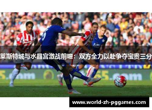 莱斯特城与水晶宫激战前瞻:双方全力以赴争夺宝贵三分 莱斯特城与水晶宫激战前瞻:双方全力以赴争夺宝贵三分