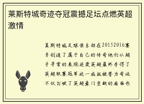 莱斯特城奇迹夺冠震撼足坛点燃英超激情