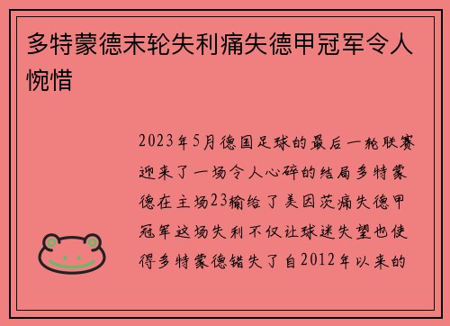 多特蒙德末轮失利痛失德甲冠军令人惋惜